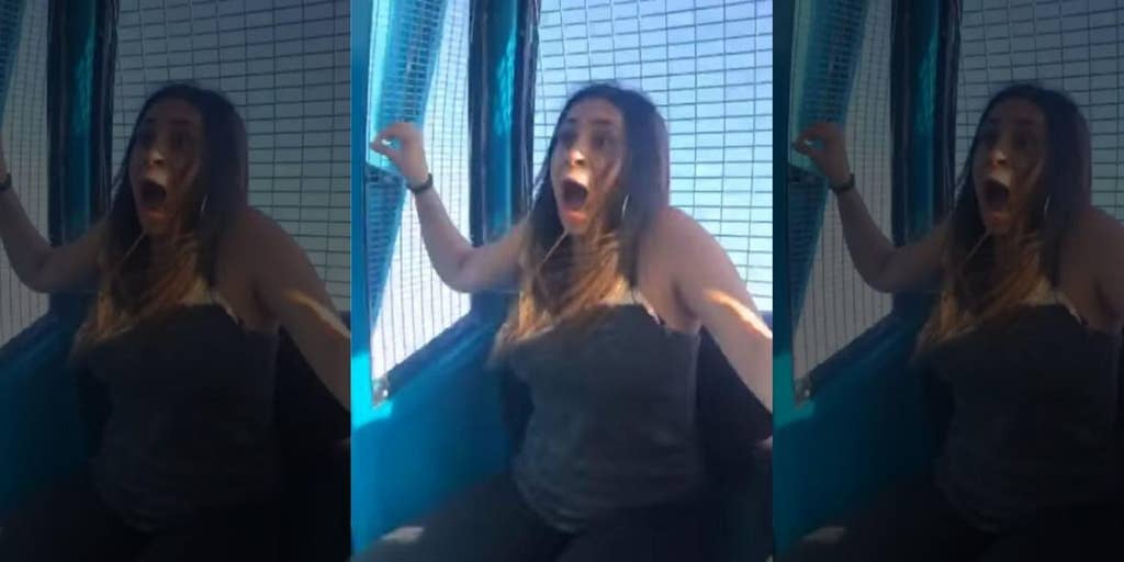 Woman Has Meltdown At Theme Park After Getting Tricked Into Riding 