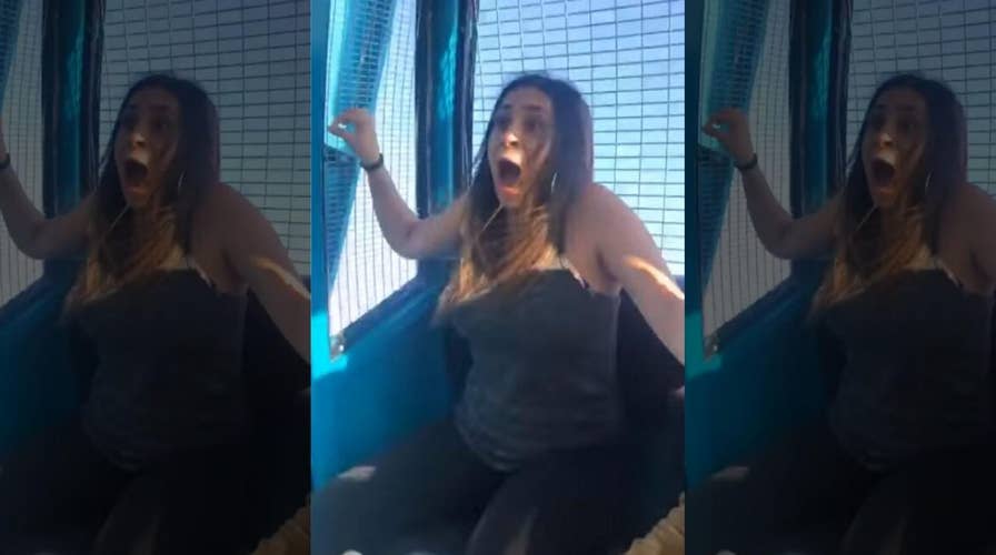 Woman has meltdown at theme park after getting tricked into riding Ferris wheel