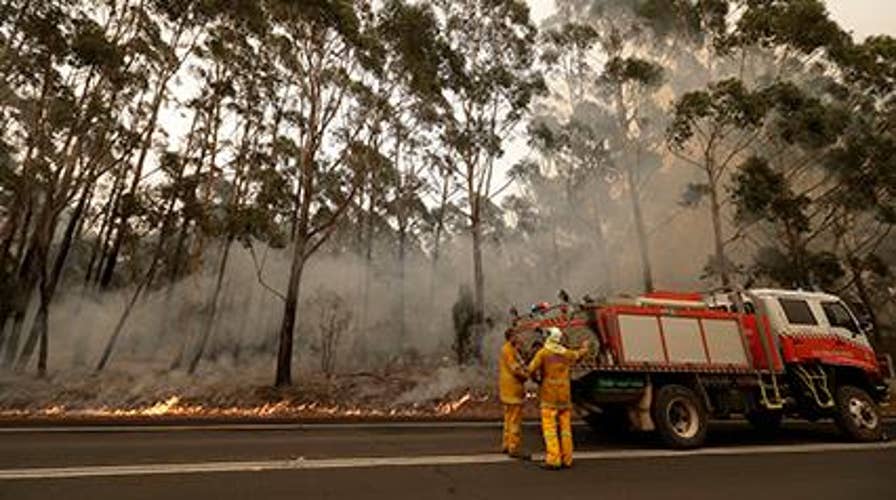 Race to save wildlife in Australia as fires continue to burn