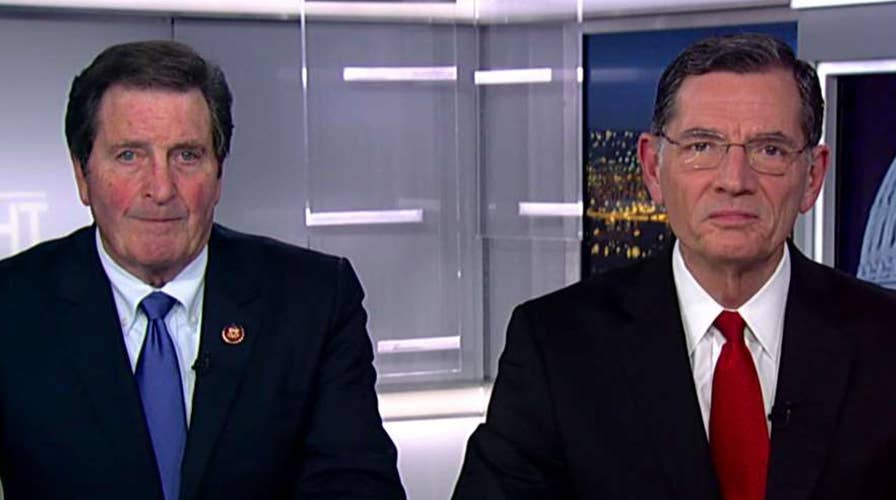 Sen. John Barrasso, Rep. John Garamendi react to Iranian missile attack on US bases in Iraq