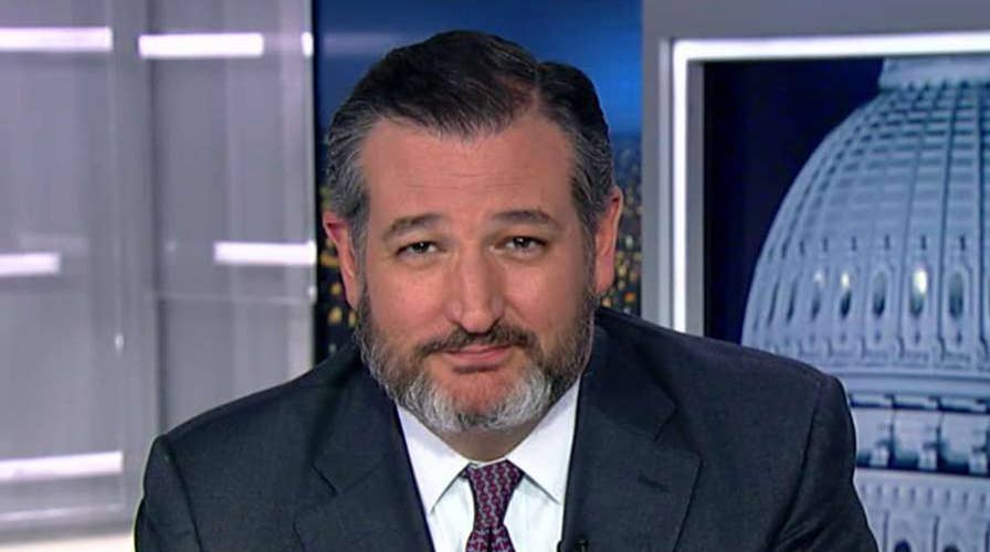 Sen. Ted Cruz on Sen. Mike Lee's public frustration with intel briefing on Soleimani strike