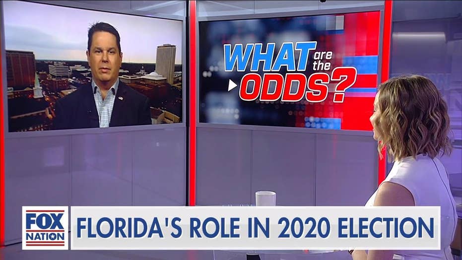 Former Senior Obama Adviser Florida S Vote In 2020 Will Look A Lot Like Vote In 2016 Fox News