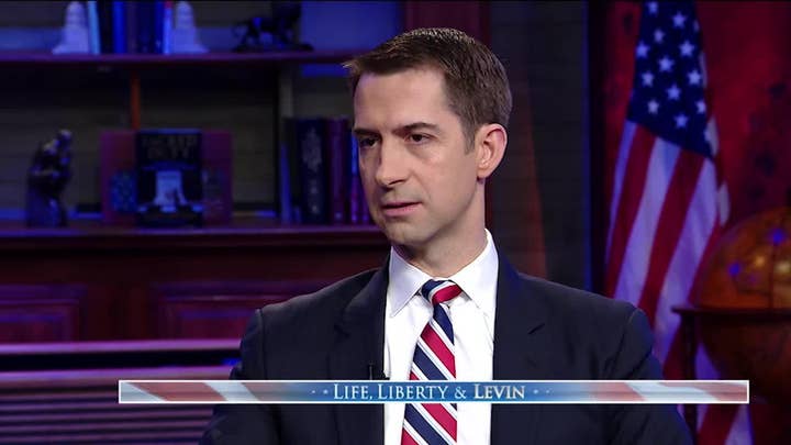 Tom Cotton defends Trump's strike on Soleimani