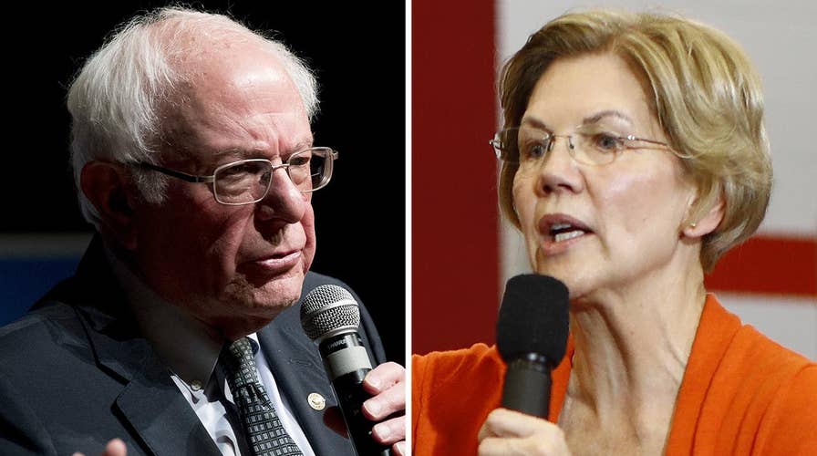 Rove: Warren, Sanders occupy same lane in Democrat Party and only one can survive