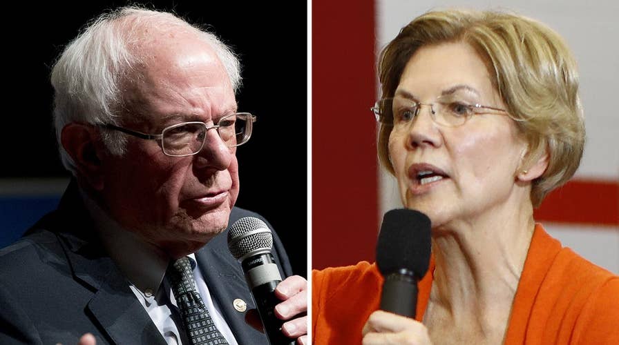 Rove: Warren, Sanders occupy same lane in Democrat Party and only one can survive