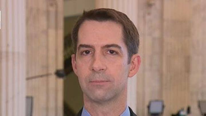 Sen. Cotton: Pelosi impeaching Trump for 'unforgivable sin' of beating Hillary