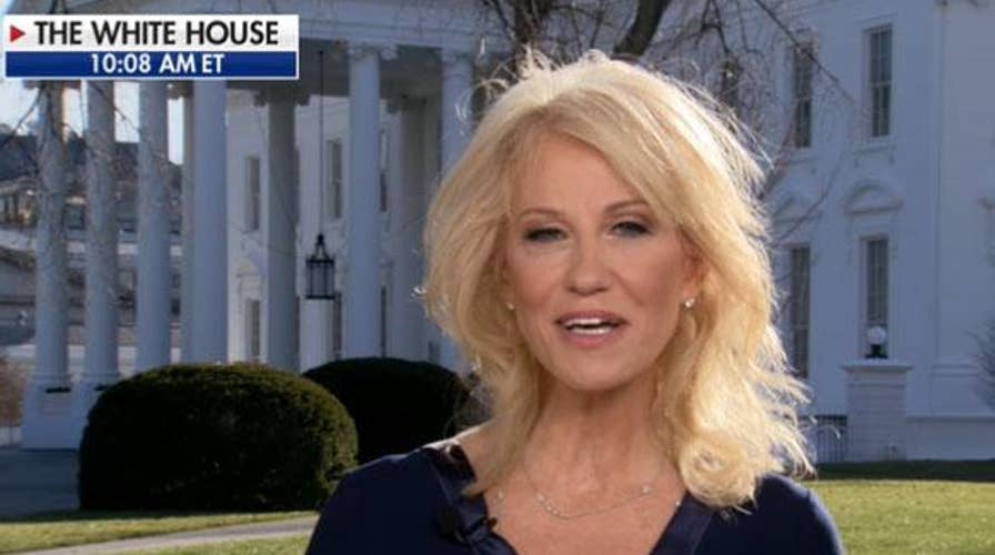 Media legitimizes anybody trying to take down Trump: Conway