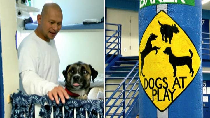 Nevada inmates train dogs to help veterans and first responders