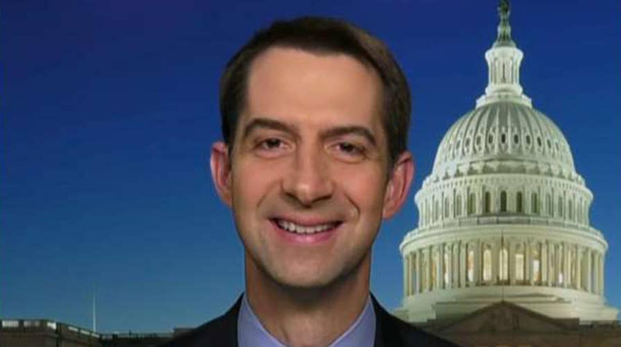 Sen. Cotton: Hunter Biden at top of the list of witnesses President Trump would want to call