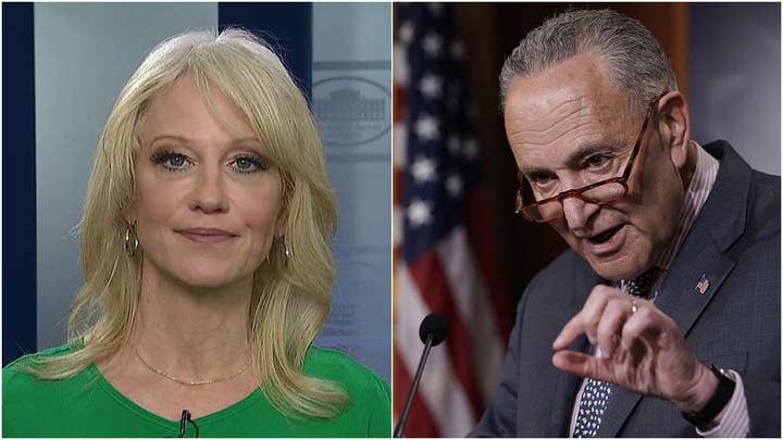 Kellyanne Conway warns Democrats calling for impeachment witnesses: Be careful what you wish for