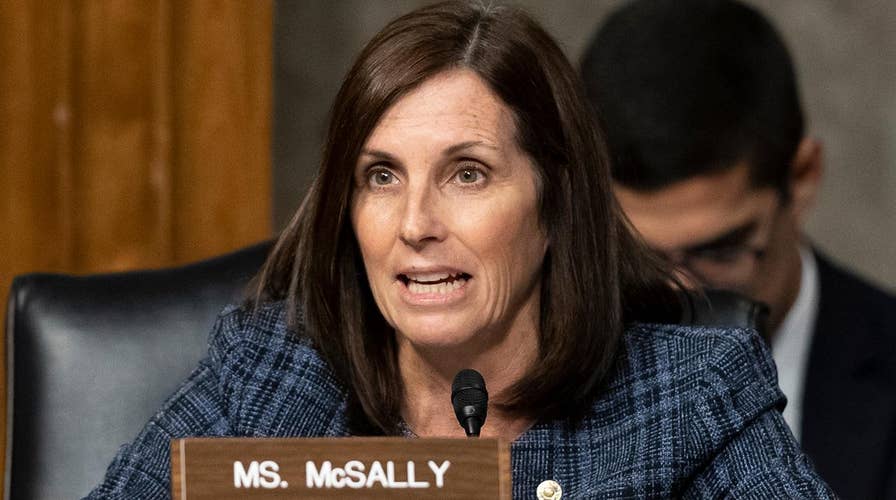 CNN anchors trash McSally