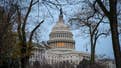 Democrats' choice of House impeachment managers was a mistake, says Ian Prior