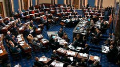 Senate passes $484B 'Phase 3.5' coronavirus stimulus package by voice vote amid tensions in chamber
