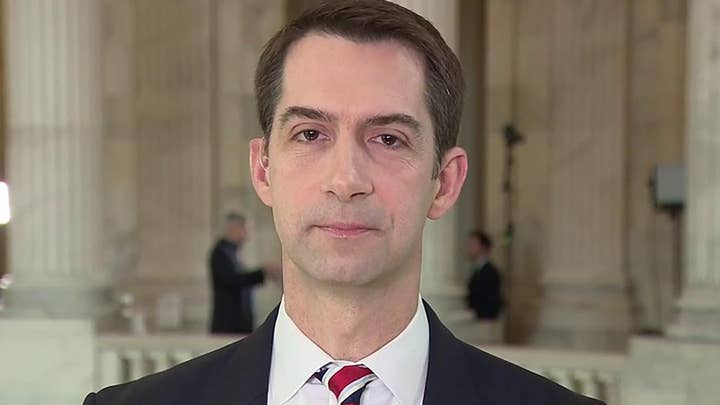 Sen. Cotton says Democrats are presenting a 'repetitive' impeachment argument with no evidence