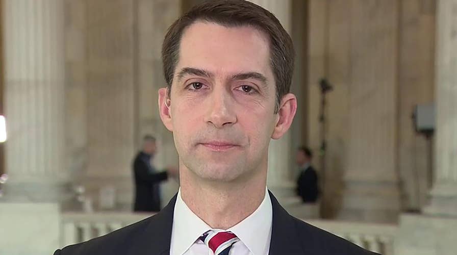 Sen. Cotton says Democrats are presenting a 'repetitive' impeachment argument with no evidence