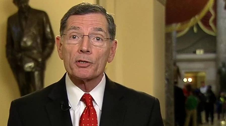 Sen. John Barrasso dismisses calls for additional witnesses in the Senate impeachment trial of President Trump