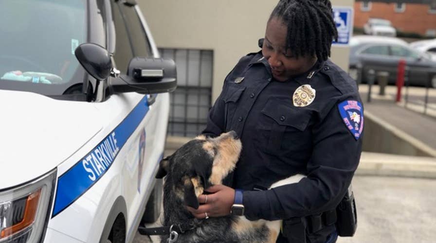 MS police officers do community outreach with shelter dogs