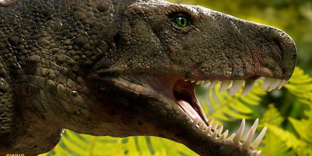 Bonecrushing Crocodile That Hunted Dinosaurs 230m Years Ago Discovered In Brazil Fox News