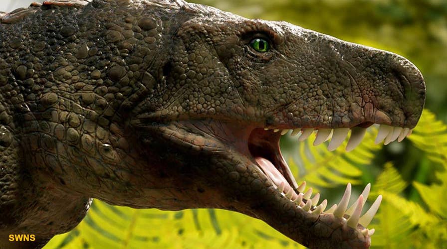 2.5 billion T. rex roamed Earth, but not all at once, study finds