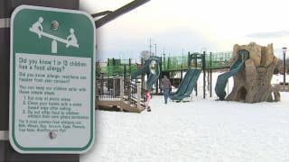 Push to make playgrounds safer for children with food allergies - Fox News