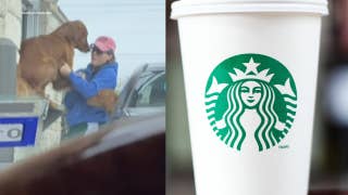 Dog can't wait for Starbucks Puppuccino, jumps out of car window at drive-thru - Fox News