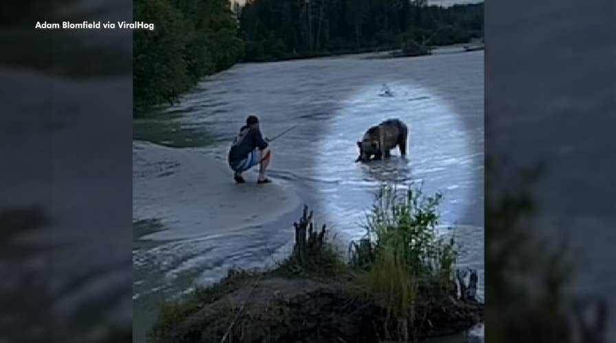 Bear steals fisherman's catch right off the line in wild video