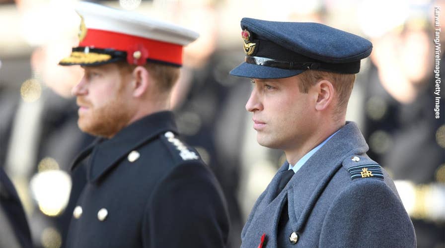 Prince Harry and Prince William are enduring 'fractures' in their relationship after royal exit: doc