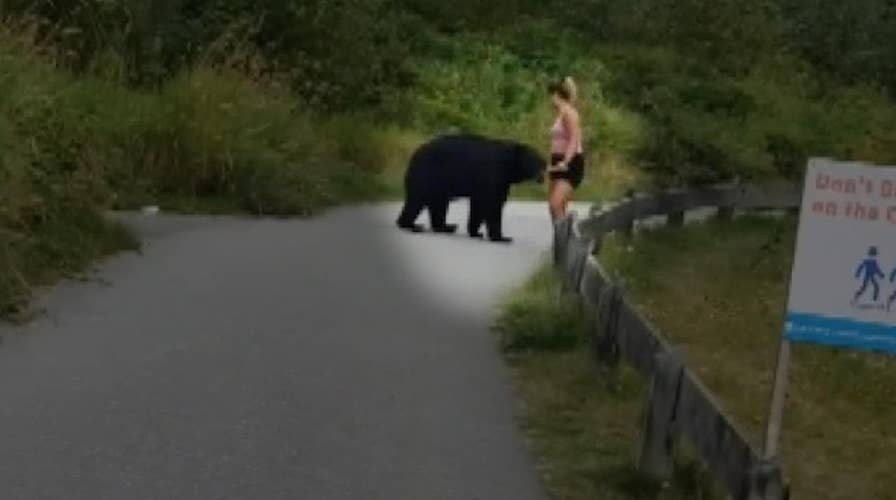 Bear surprises jogger on trail, swipes at her leg