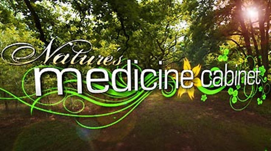 Strange Health Foods: Sea Urchin