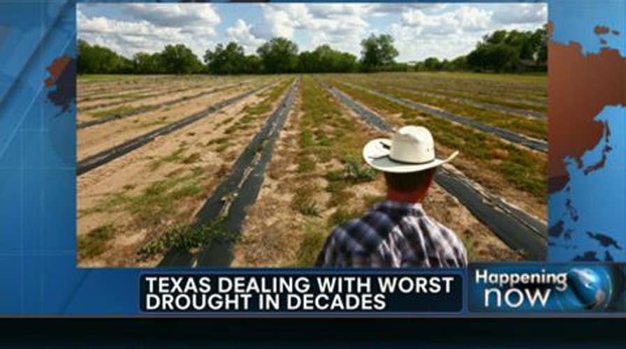 Texas Deals With Worst Drought in Decades
