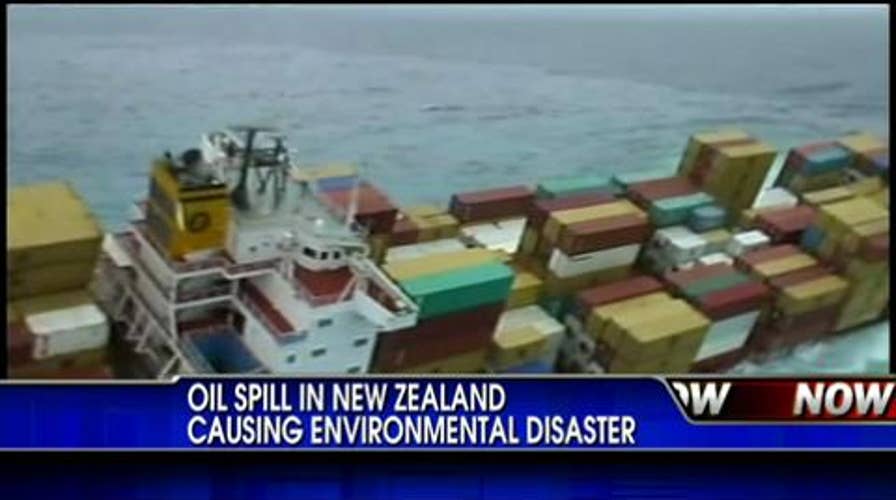 Oil Spill in New Zealand Causing Environmental Disaster