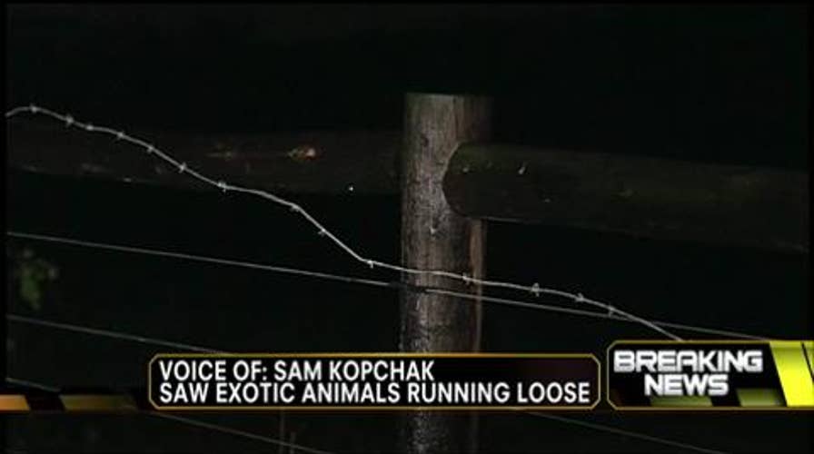 Neighbor of Zanesville, Ohio Exotic Animal Farm Recalls Seeing Bear, Lion Running Loose