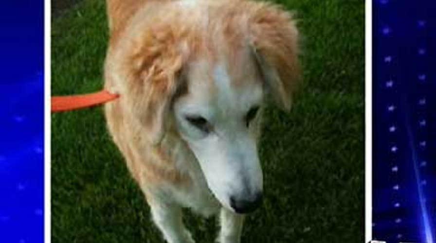 'Rescuing Sprite' Pt.1