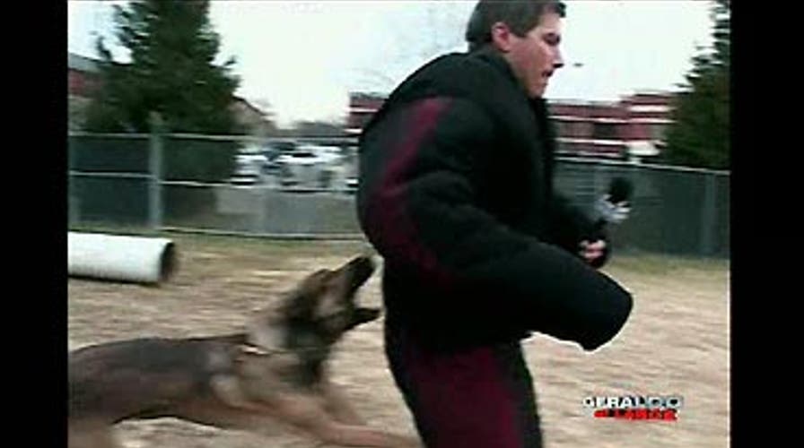 Taking a Bite Out of Craig