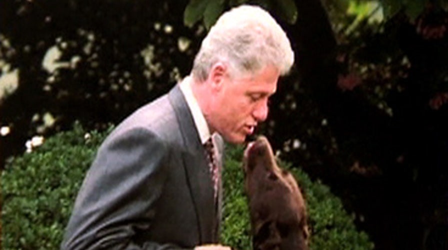 Presidential Pooches