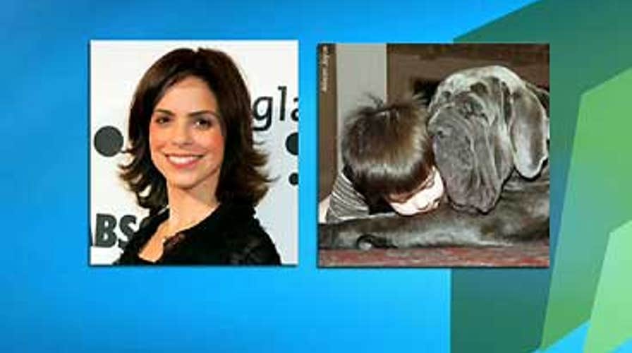 Pooch Problem?