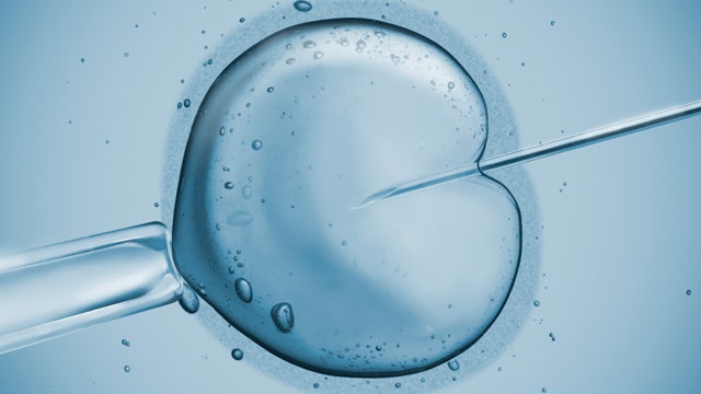 New IVF techniques give better results