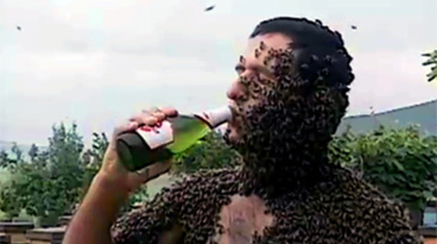The Booze and The Bees
