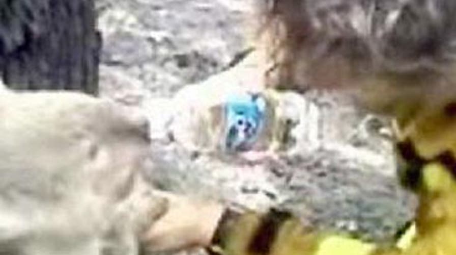 In Time for Valentine's