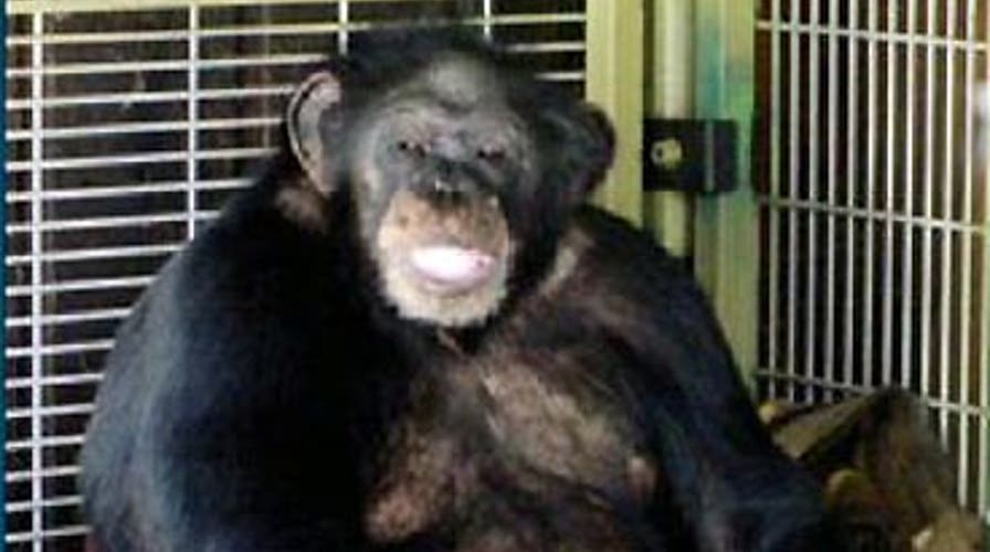 'He Ripped Her Face Off'