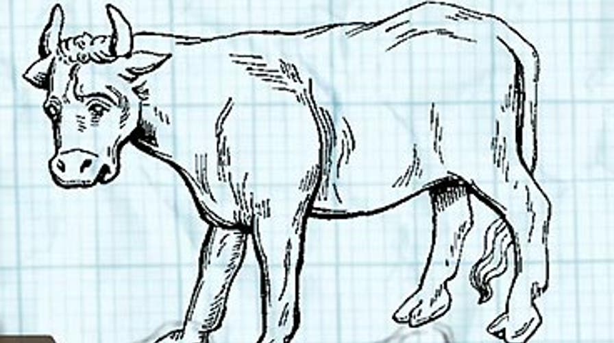 How to Prepare a Halal Meal