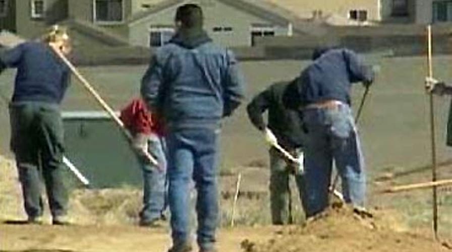 Skeletons in the Desert