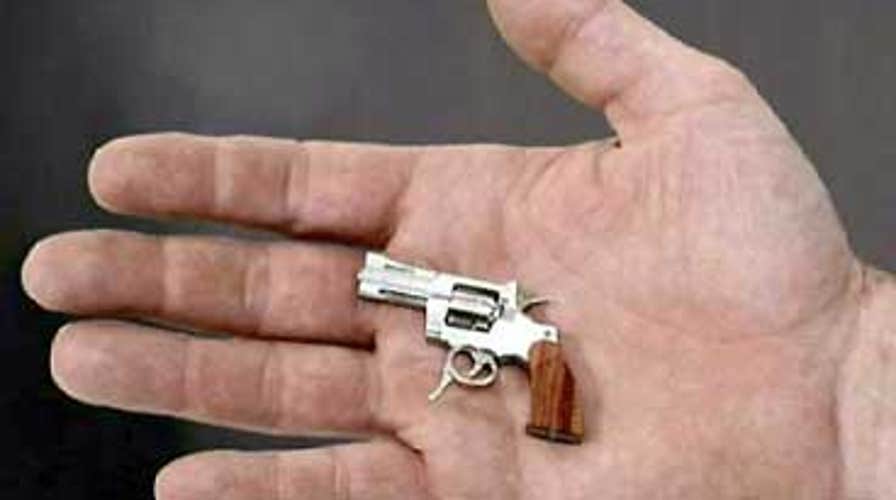 World's Smallest Gun