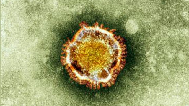 CDC warns of deadly new virus from Middle East