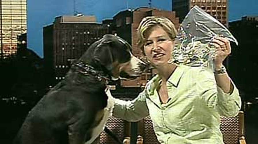 FOX News Flash: FOX & Friends Edition