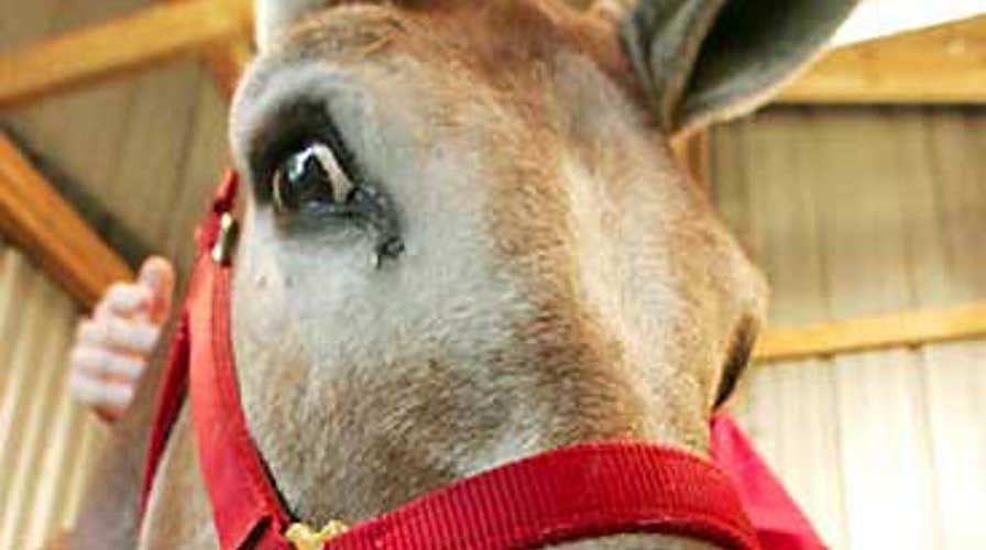 Proof is in the Pudding!