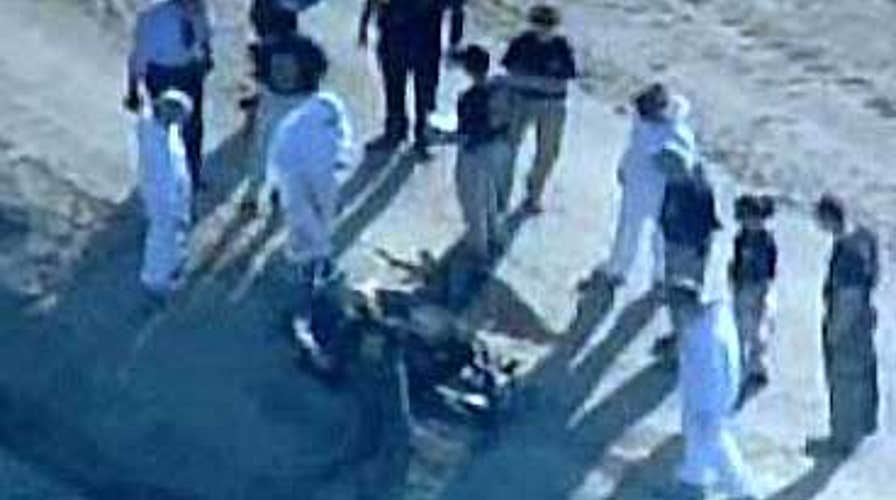 Forensic Information