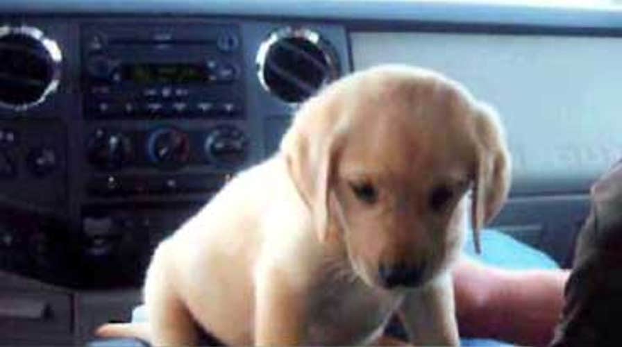 'Can't Let These Guys Go'