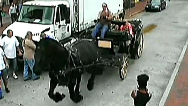 Spooked carriage horse runs wild with passengers on board 