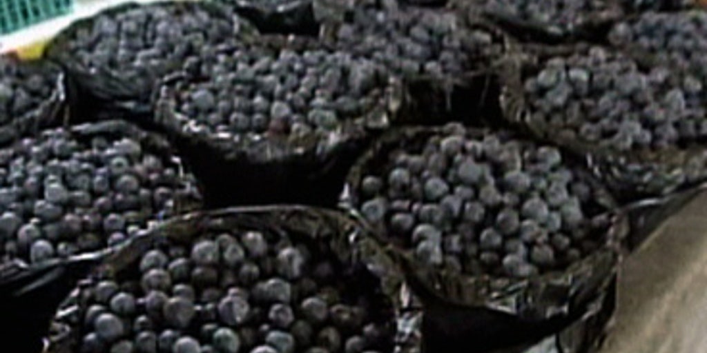 Blueberries Cut Belly Fat Fox News Video